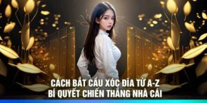 Cách bắt cầu Xóc Đĩa từ A-Z – Bí quyết chiến thắng nhà cái