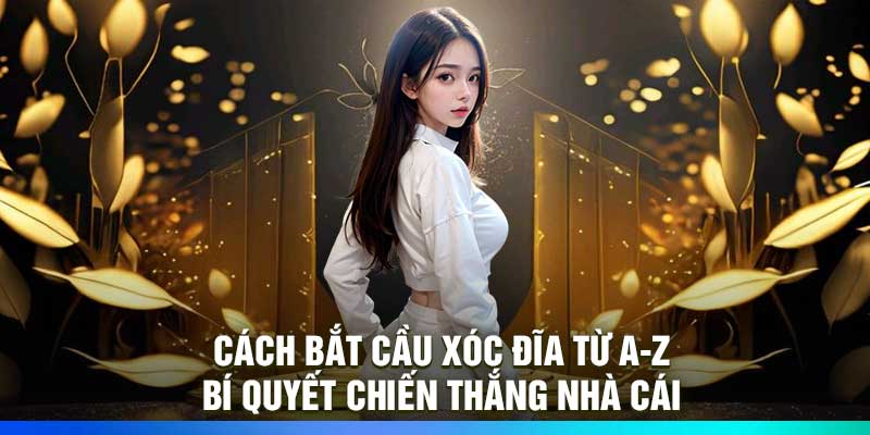 Cách bắt cầu Xóc Đĩa từ A-Z – Bí quyết chiến thắng nhà cái